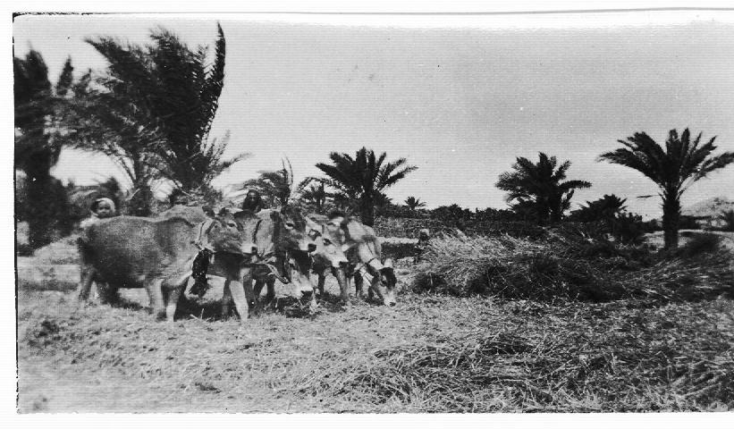 Threshing