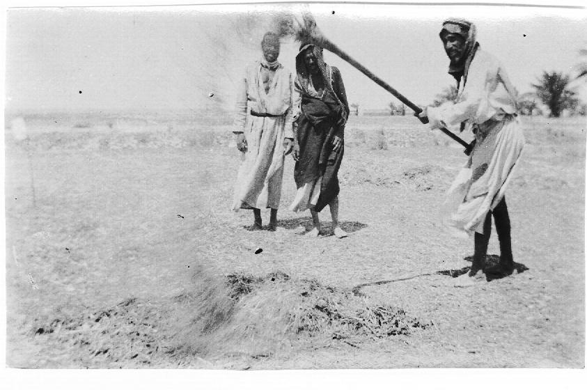 Winnowing